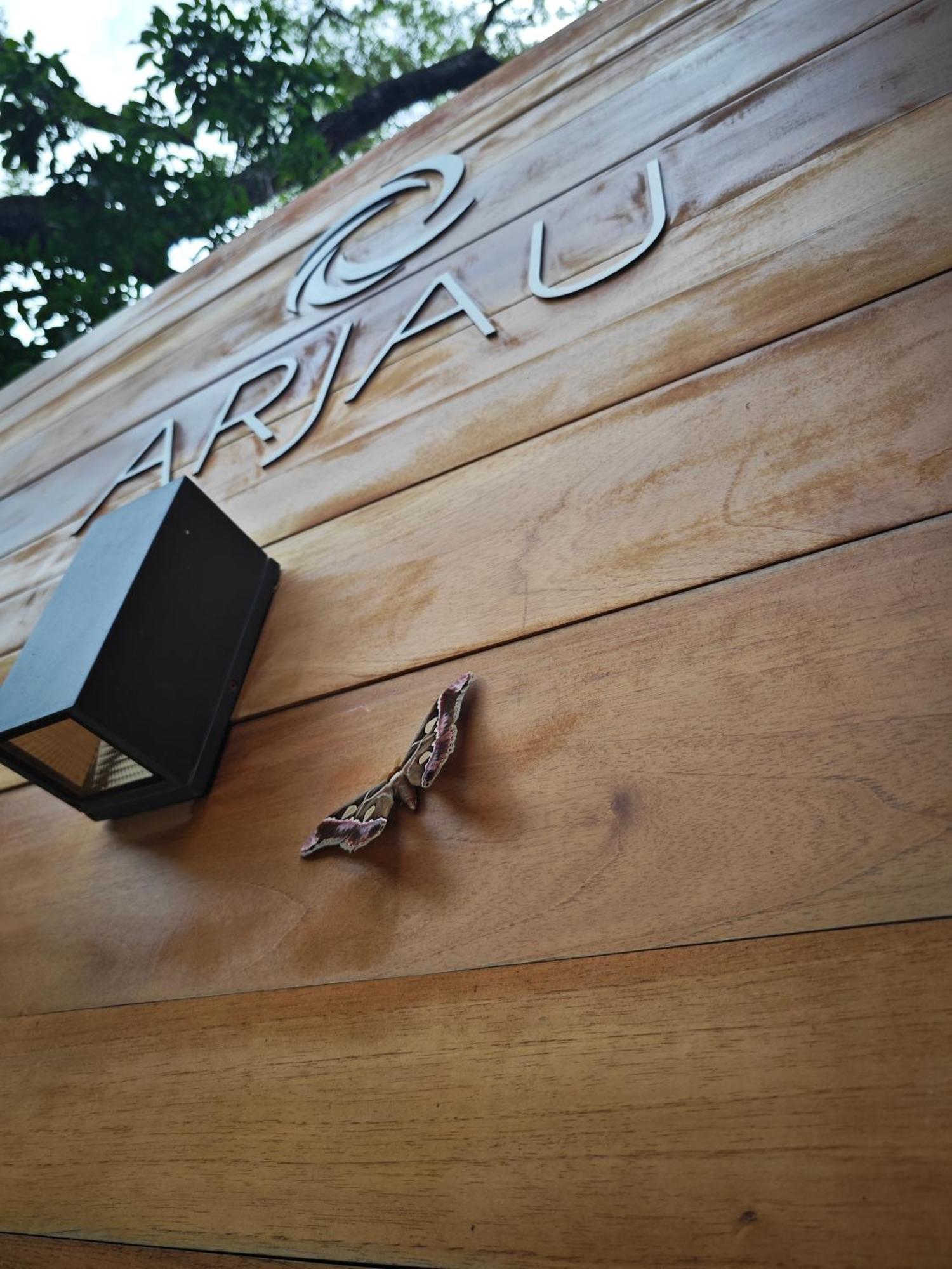 Arjau Boutique Hotel - Adults Only Playa Santa Teresa  エクステリア 写真